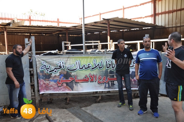 Jam3iya la7m3n (12).JPG